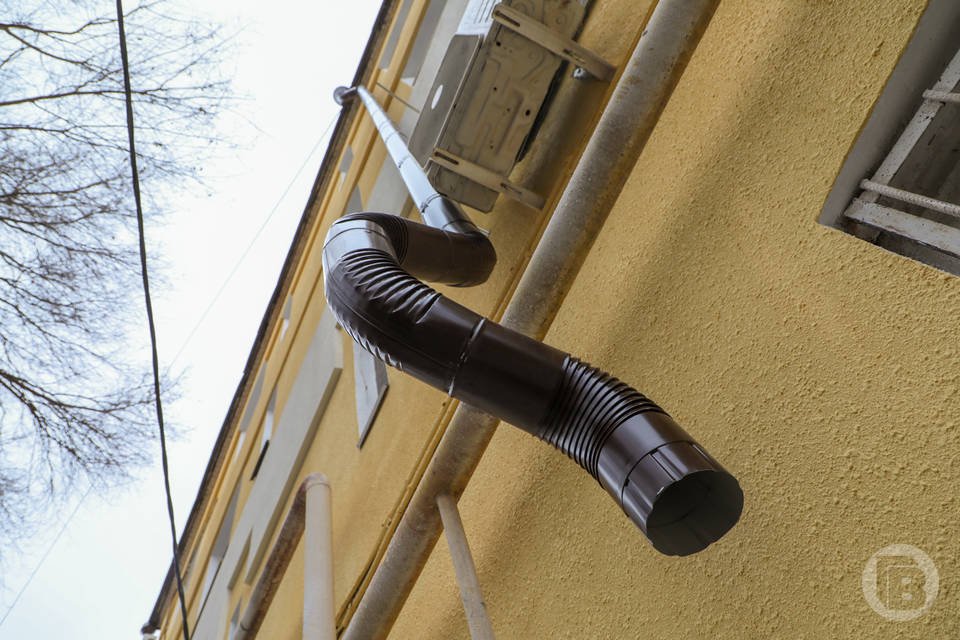 Волгоградец снял на видео, как мужчина подкинул в подвал тараканов