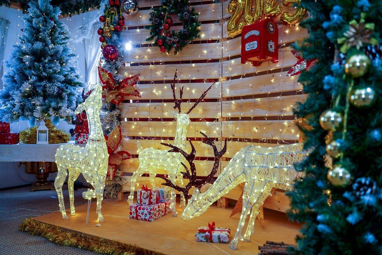 К Новому году ЦПКиО Волгограда украсят более 27 километров гирлянд К Новому году ЦПКиО Волгограда украсят более 27 километров гирлянд