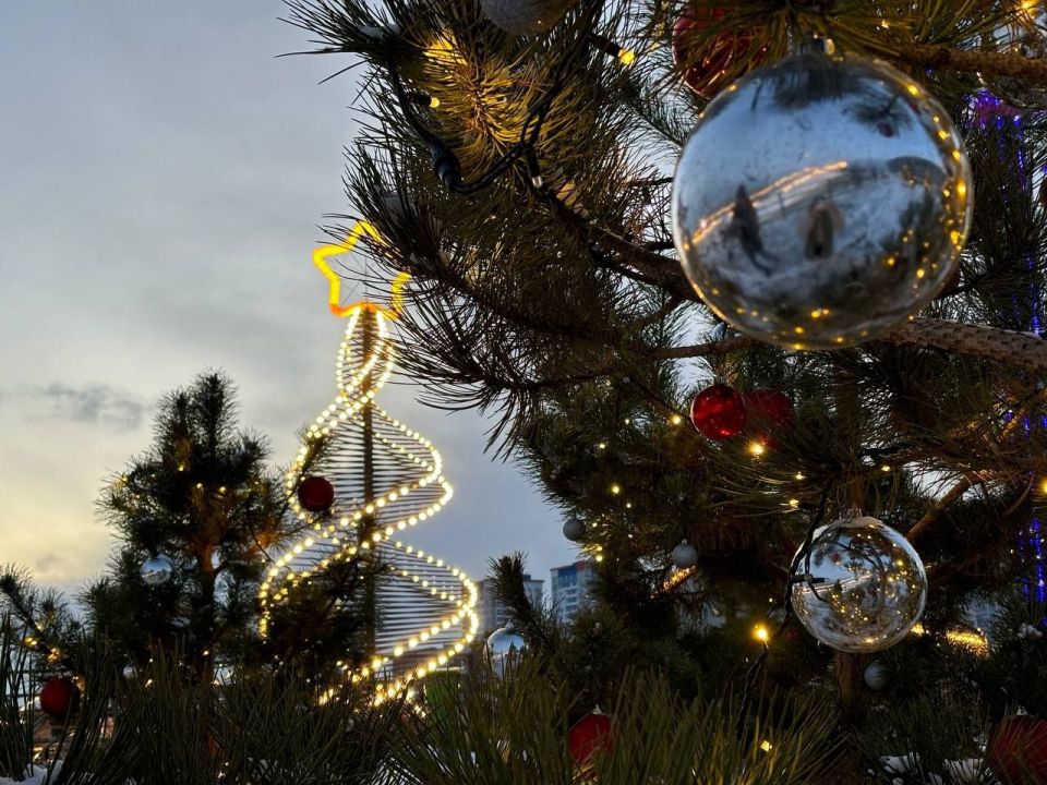 К Новому году ЦПКиО Волгограда украсят более 27 километров гирлянд