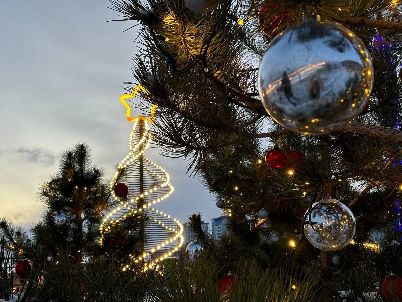 К Новому году ЦПКиО Волгограда украсят более 27 километров гирлянд