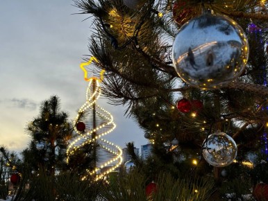 27 километров гирлянд украсят Центральный парк к Новому году