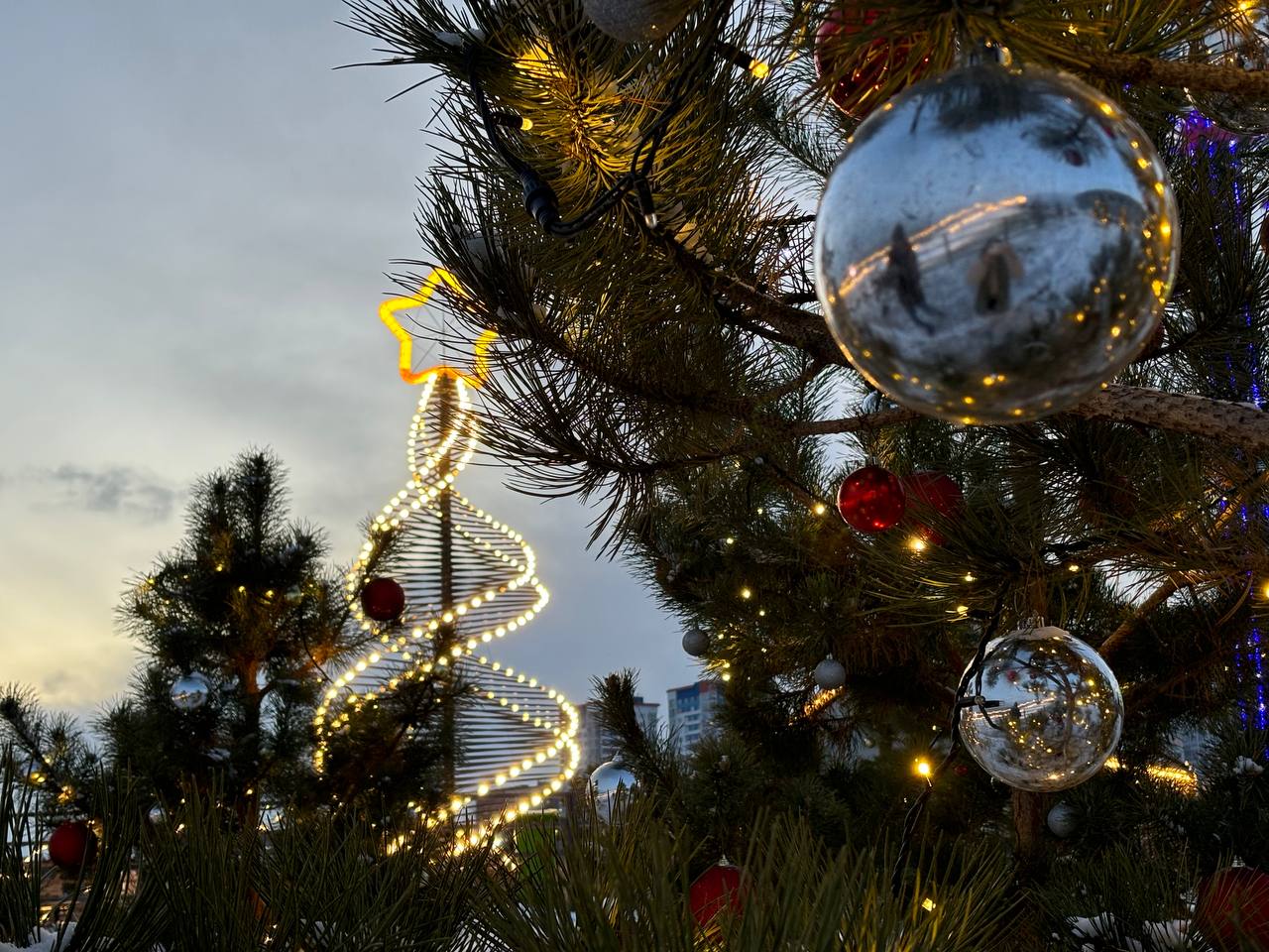 27 километров гирлянд украсят Центральный парк к Новому году