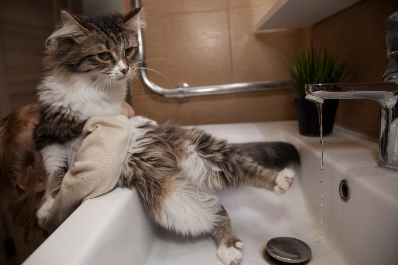 Отключат воду 16 ноября в Кировском районе Волгограда