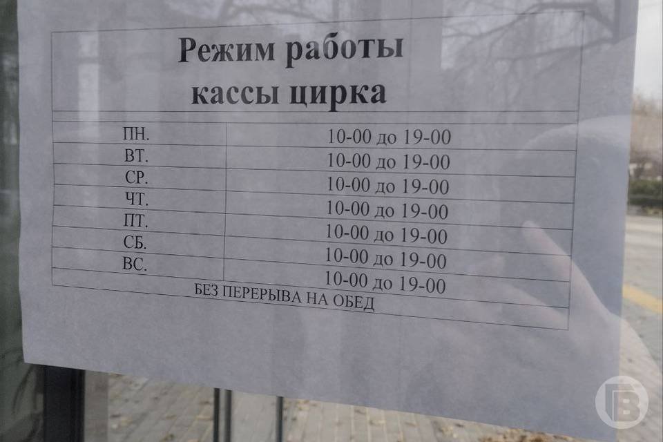 В Волгограде цирк после ремонта возобновляет работу