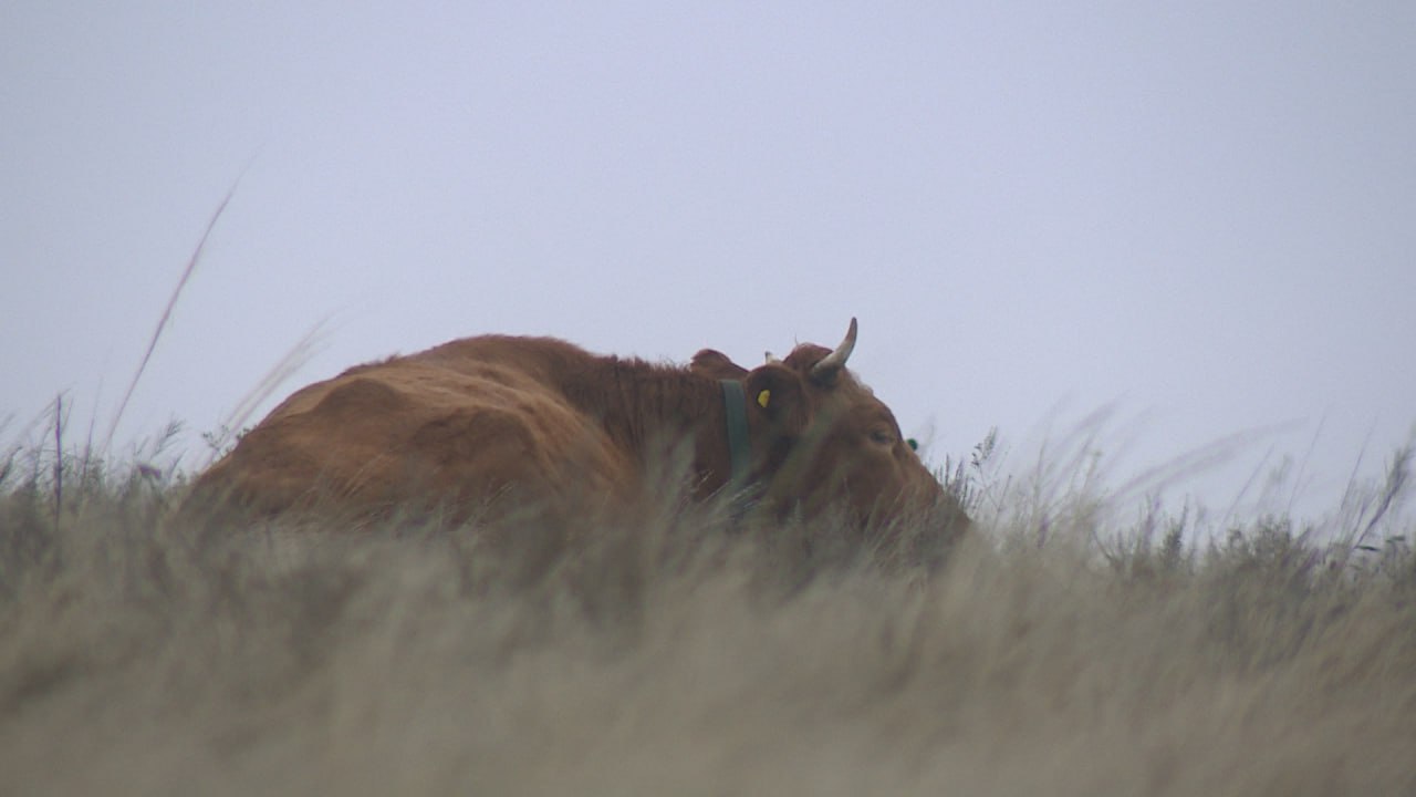 Участник СВО Владимир Антонов стал первым получателем гранта «Агромотиватор» в регионе Участник СВО Владимир Антонов стал первым получателем гранта «Агромотиватор» в регионе