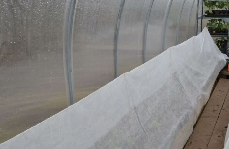 Защита растений от апрельских заморозков: простые и эффективные методы