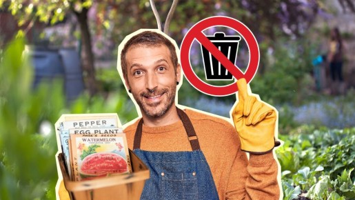 Не спешите выбрасывать просроченные семена: ложка этого сока, и они оживут