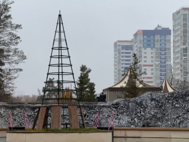 В ЦПКиО начали собирать елку, а возле ТРЦ их уже украсили