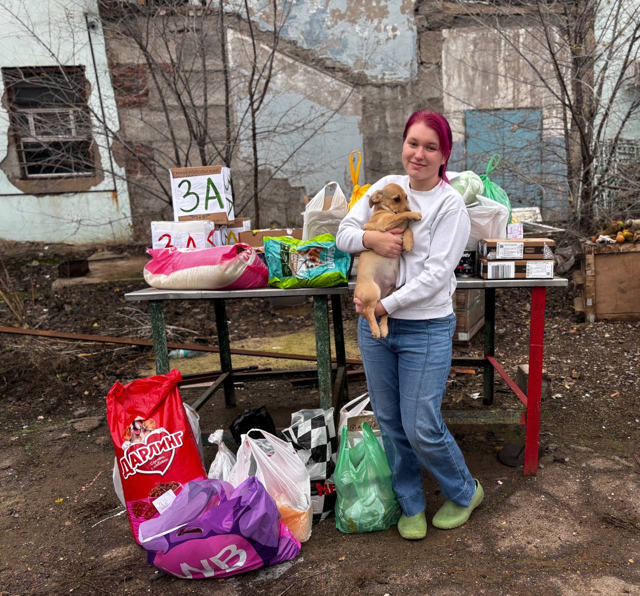 Добро в действии! Ученики школы №35 помогают пушистым подопечным приюта «Уголёк» Добро в действии! Ученики школы №35 помогают пушистым подопечным приюта «Уголёк»