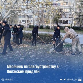 Осенний месячник по благоустройству продлили до 7 декабря! Решение приняли из-за тёплой погоды и того, что не все организации успели завершить работы