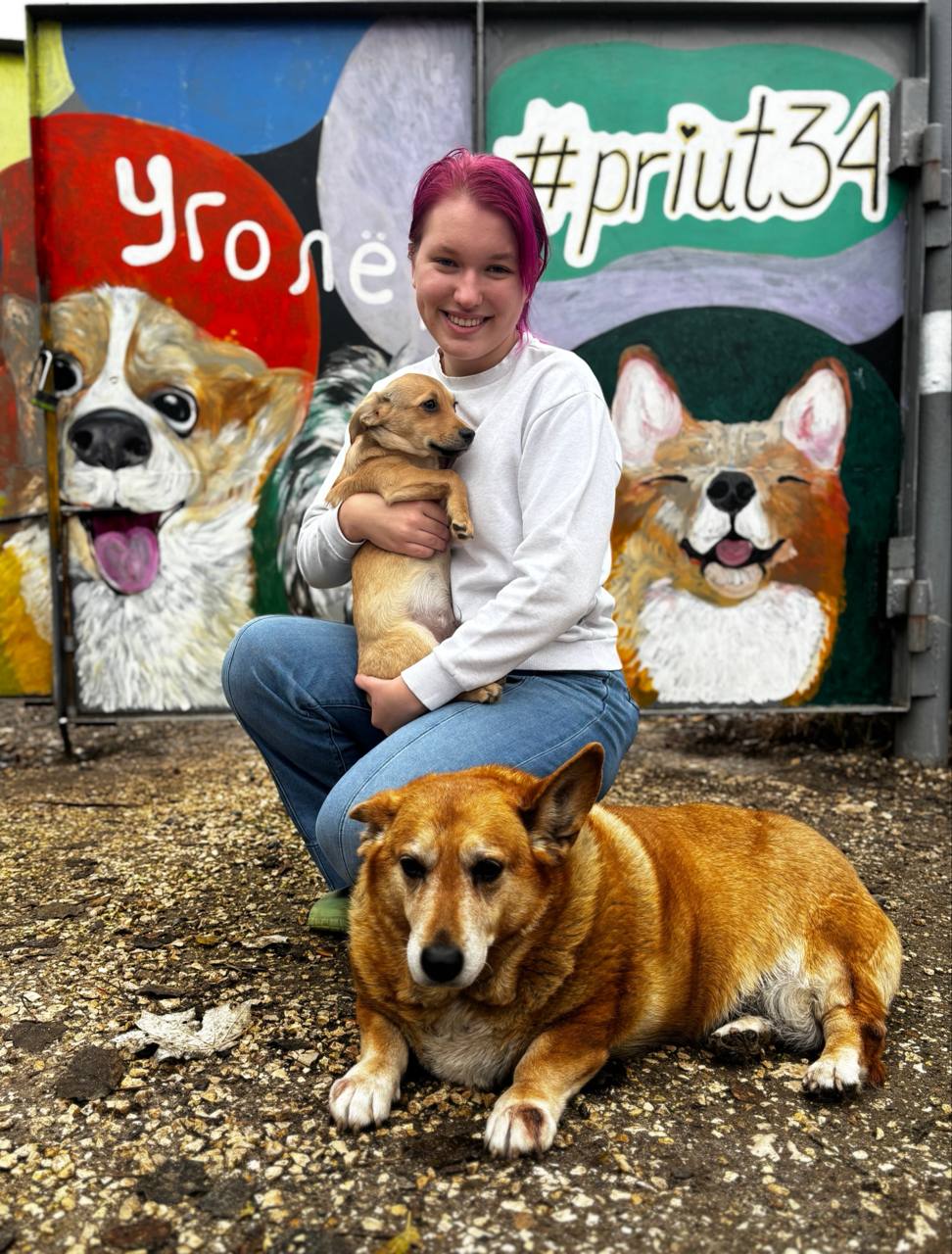 Добро в действии! Ученики школы №35 помогают пушистым подопечным приюта «Уголёк» Добро в действии! Ученики школы №35 помогают пушистым подопечным приюта «Уголёк»