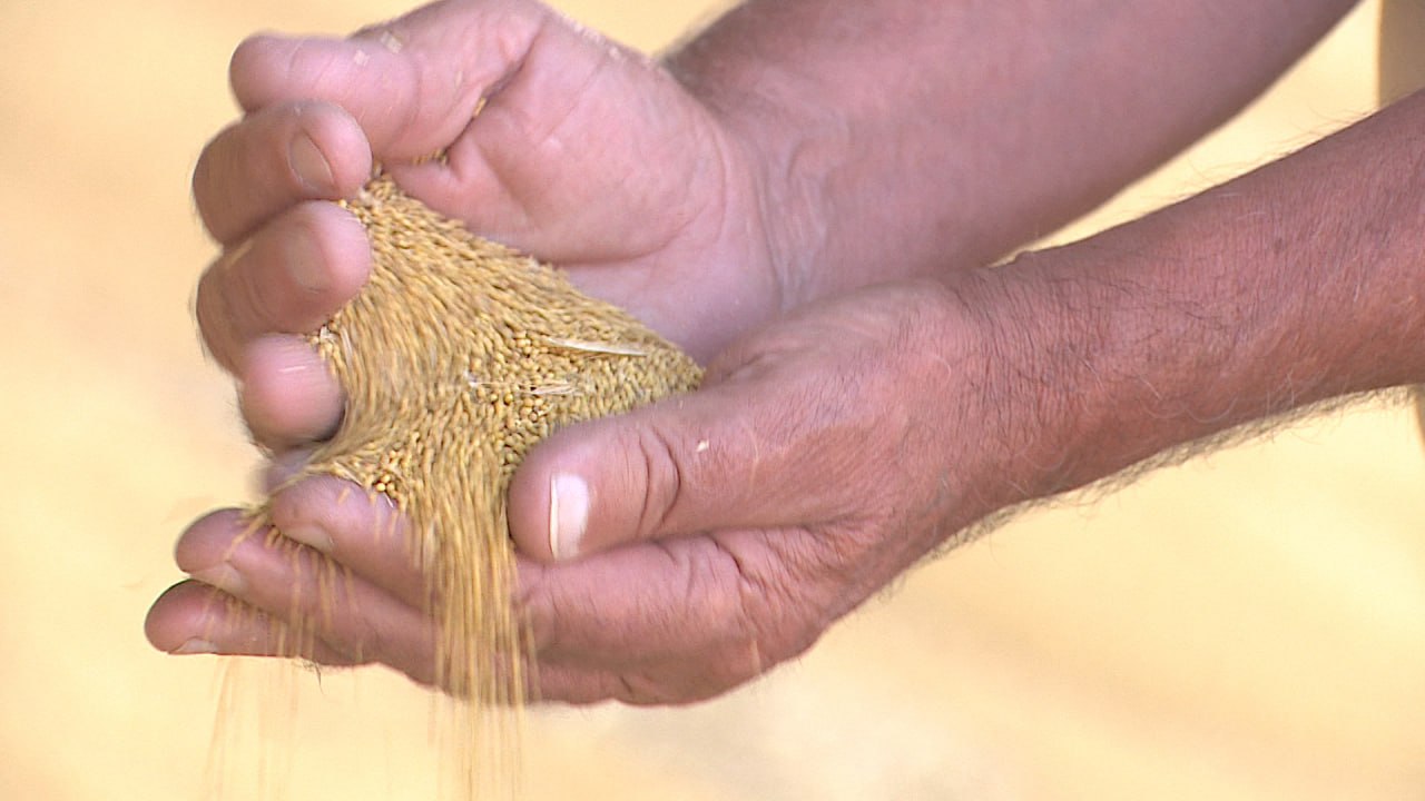 Волгоградские аграрии готовятся к весенней посевной