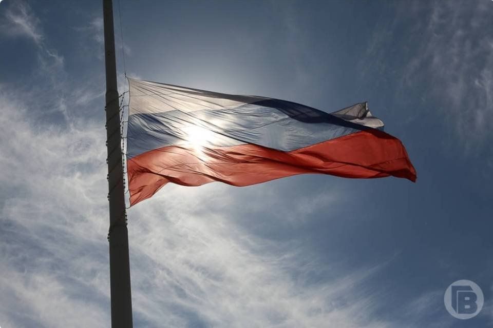 Соревнования и патриотические акции пройдут в Волгограде к 19 ноября