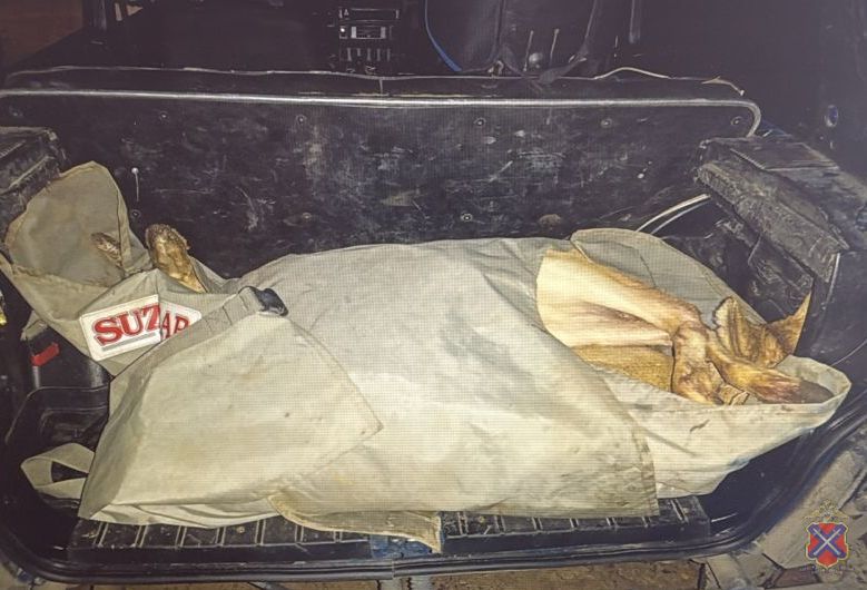 44-летнего браконьера поймали в Камышинском районе 44-летнего браконьера поймали в Камышинском районе