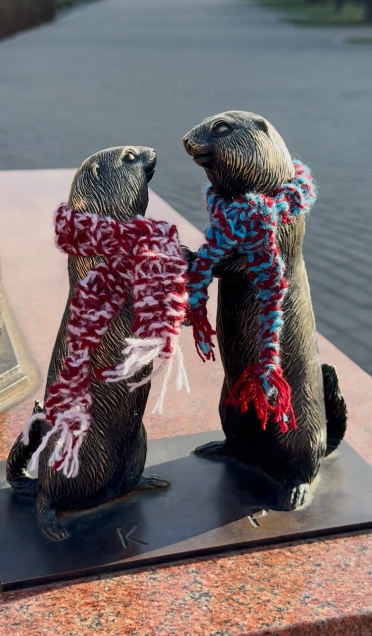 Завершаем рубрику #вГостисСусликами Красноярска романтической историей и милой Раечкой