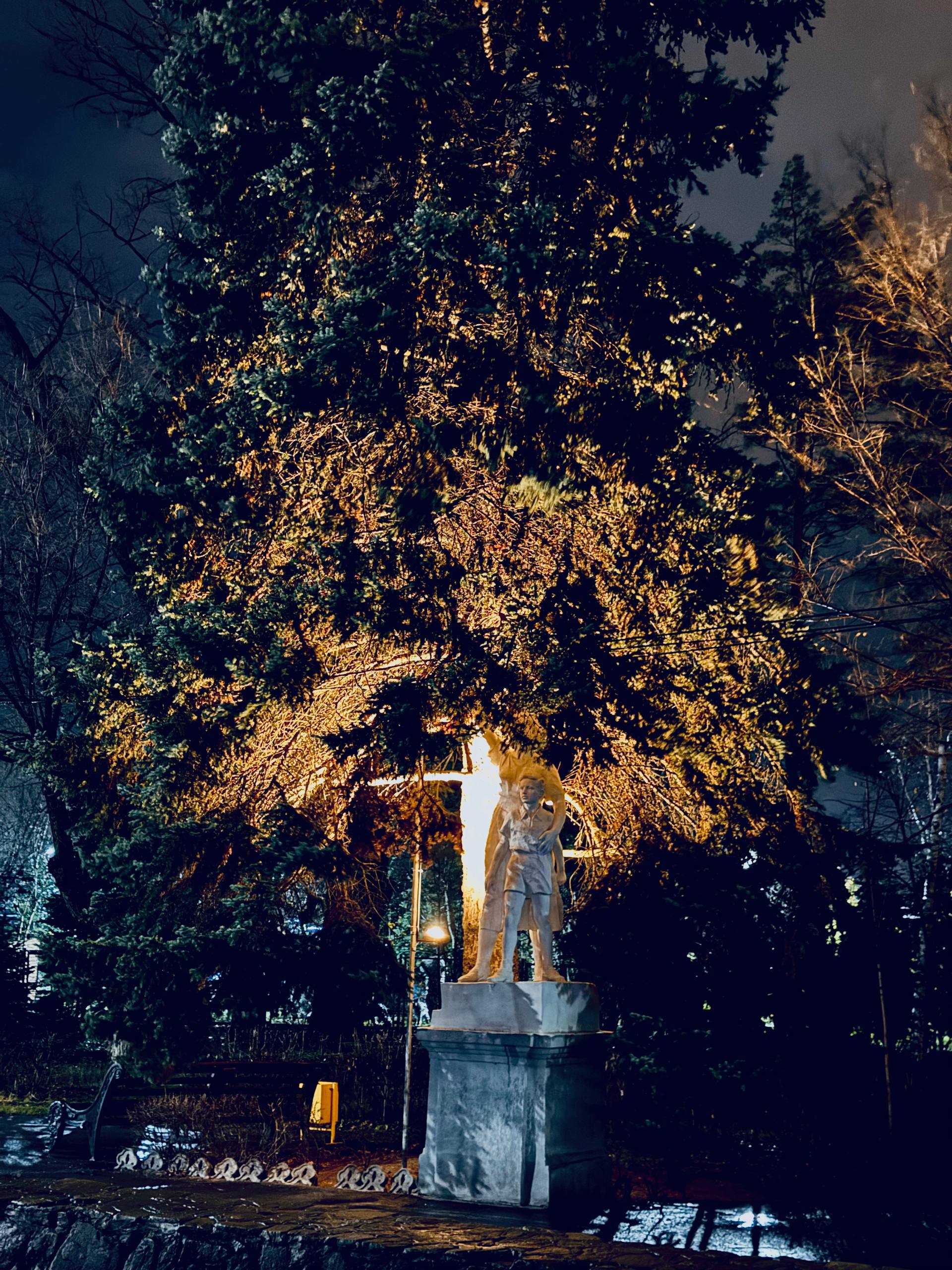 Второй этап реализации проекта по точечной подсветке парковых насаждений Второй этап реализации проекта по точечной подсветке парковых насаждений