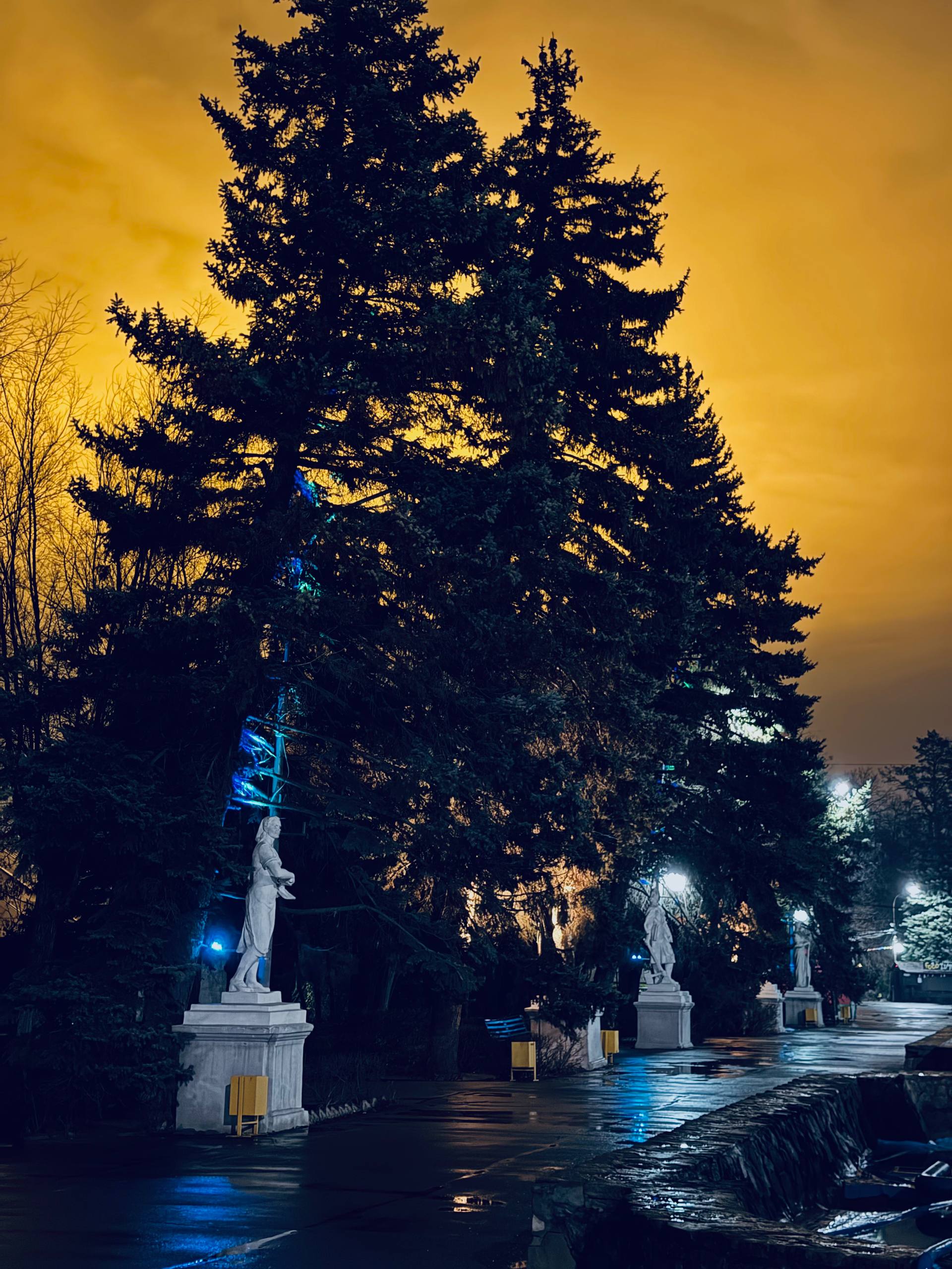 Второй этап реализации проекта по точечной подсветке парковых насаждений Второй этап реализации проекта по точечной подсветке парковых насаждений