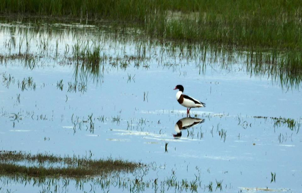 Волгоградский «КАУСТИК» в шорт-листе «Зеленой премии – 2025» Волгоградский «КАУСТИК» в шорт-листе «Зеленой премии – 2025»