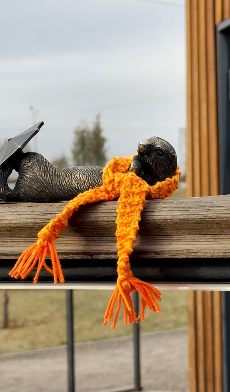 Завершаем рубрику #вГостисСусликами Красноярска романтической историей и милой Раечкой Завершаем рубрику #вГостисСусликами Красноярска романтической историей и милой Раечкой