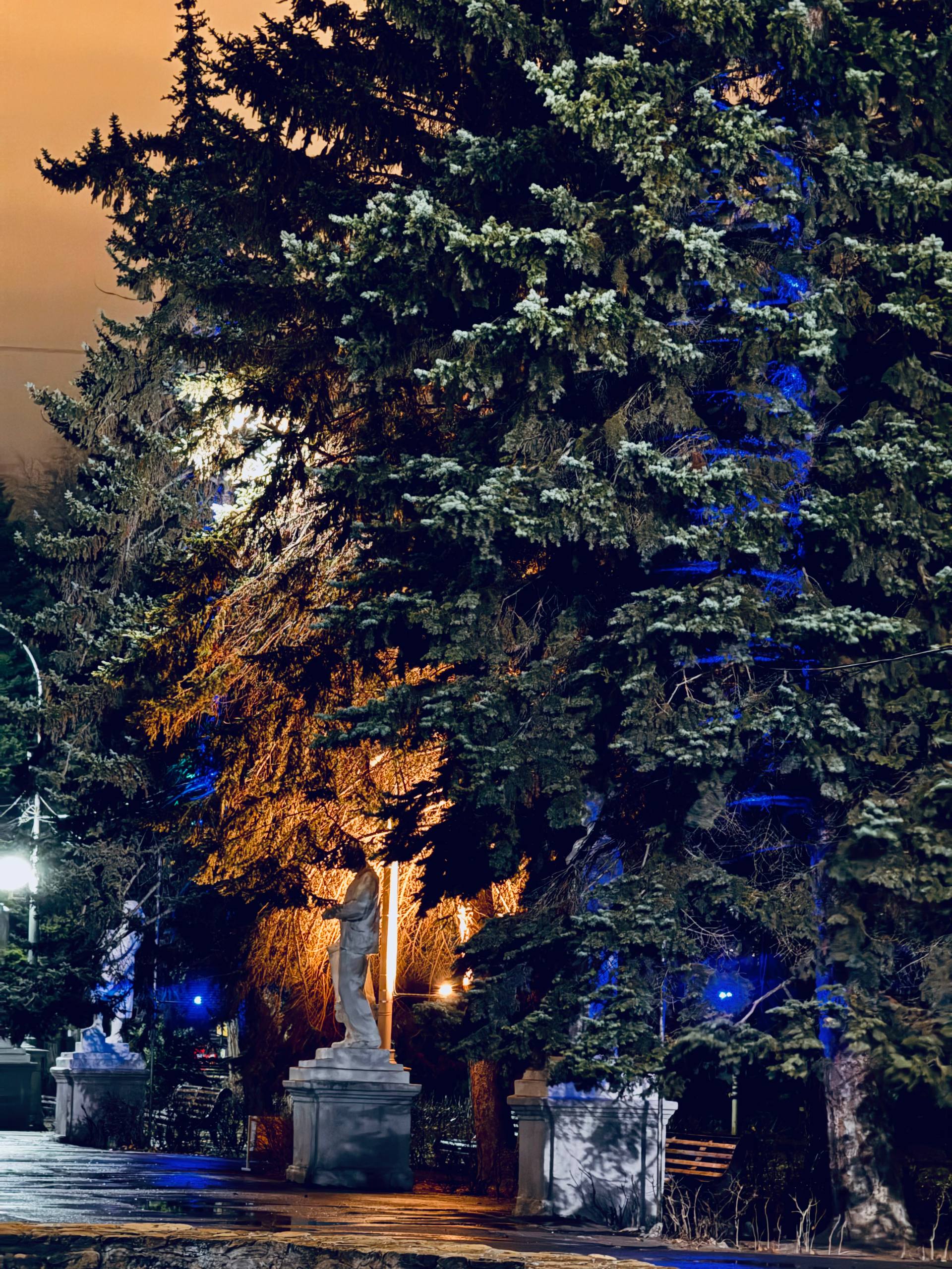 Второй этап реализации проекта по точечной подсветке парковых насаждений Второй этап реализации проекта по точечной подсветке парковых насаждений