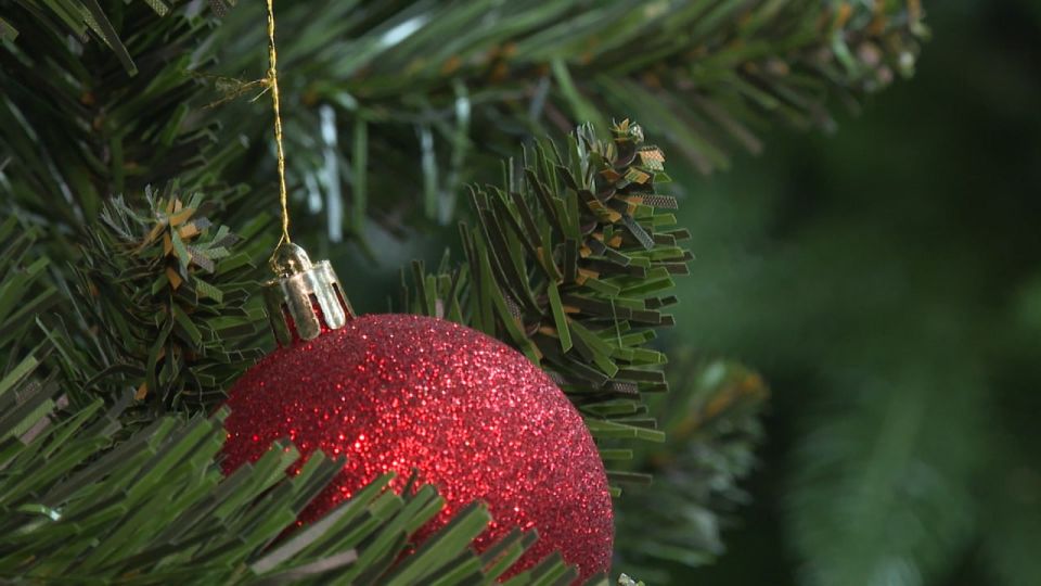 В России в восьмой раз стартует акция «Елка желаний»