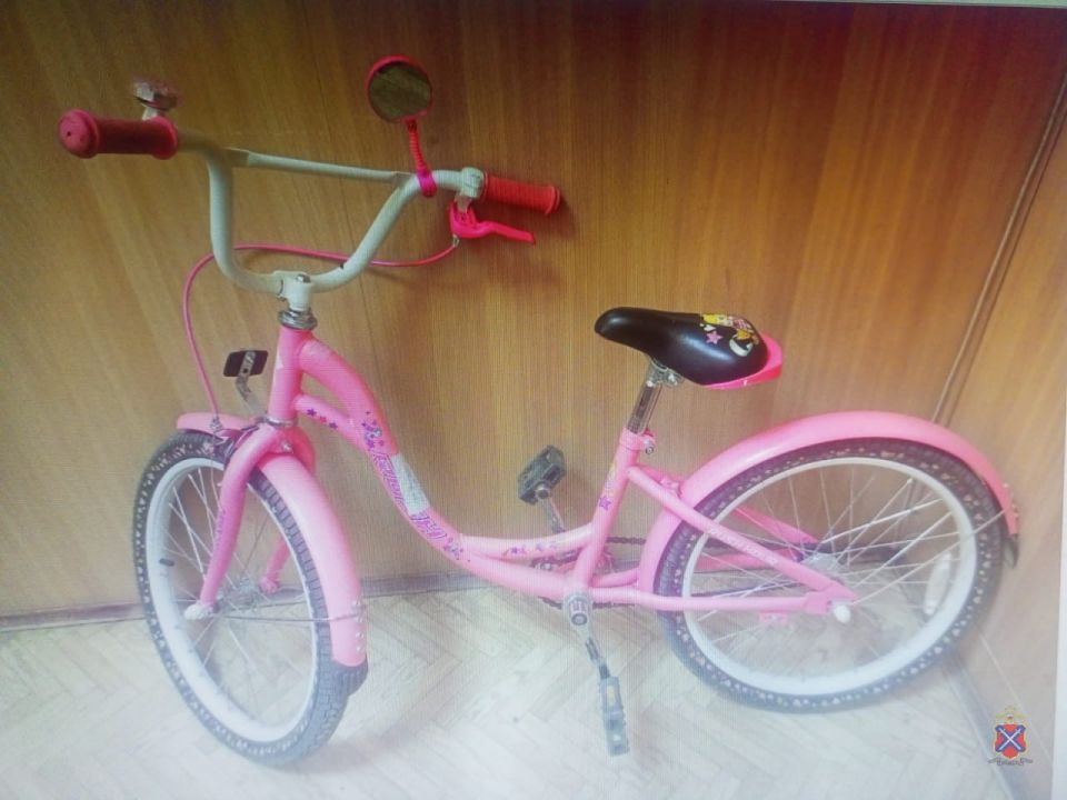 Иностранца обвиняют в краже детского велосипеда в Волгоградской области