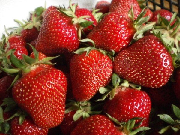 Как добиться сладости клубники: мифы и реальность