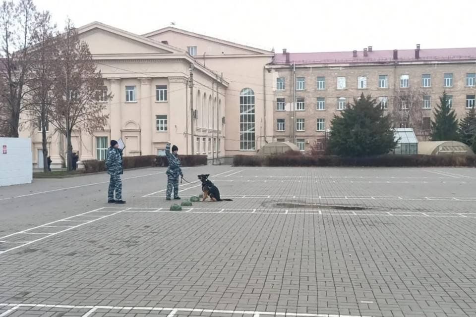 Волгоградские кинологи Главка МВД встретились со студентами ВолГАУ и школьниками
