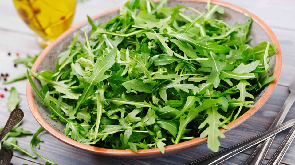 Почему рукола стала новой звездой на наших столах: факты и тайны