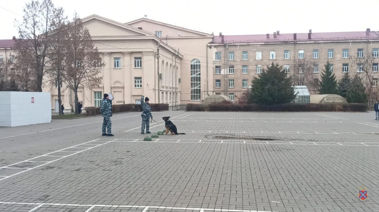 Сотрудники кинологической службы регионального Главка МВД провели встречу со студентами колледжа ВолГАУ и школьниками