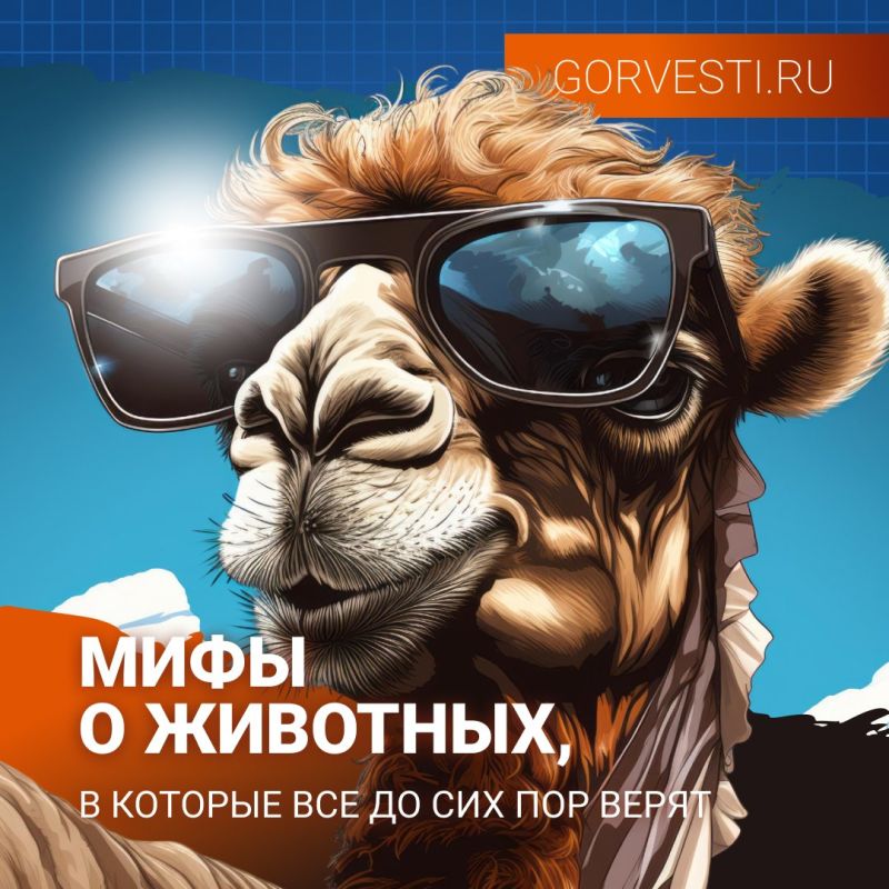 Мифы о животных, в которые все до сих пор верят