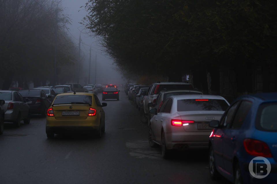 20 пьяных водителей поймали в Волгоградской области