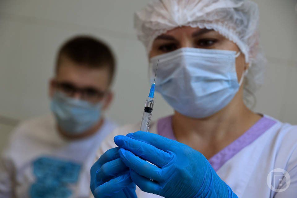 Путешествующим волгоградцам посоветовали привиться от энцефалита