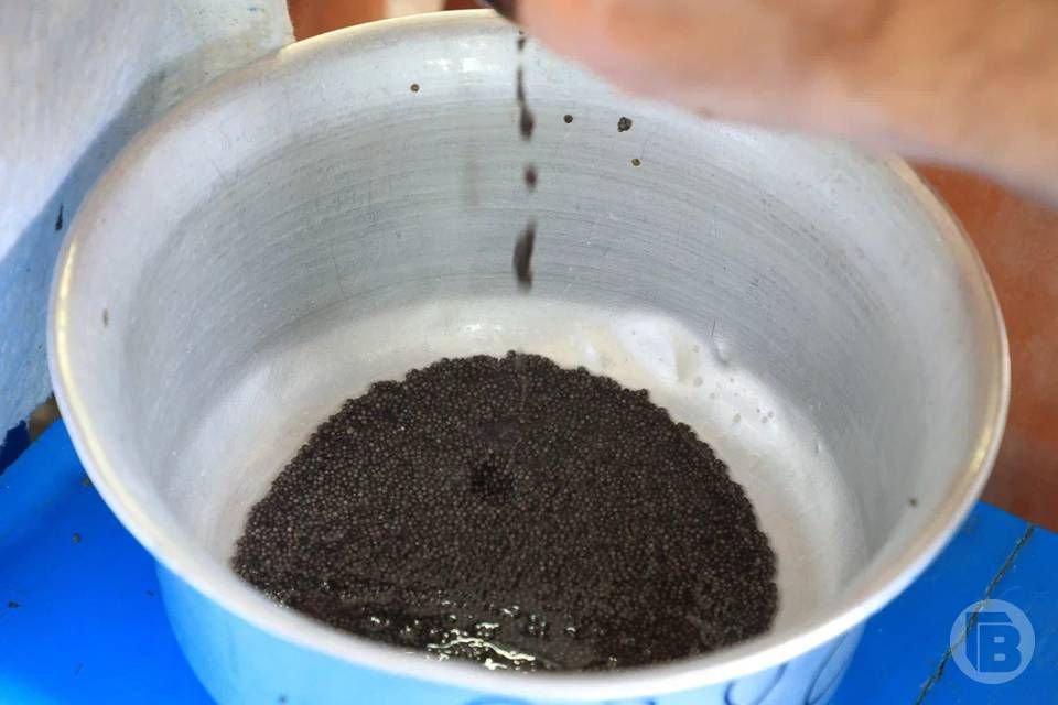 Волгоградцев предупредили о фальшивой черной икре