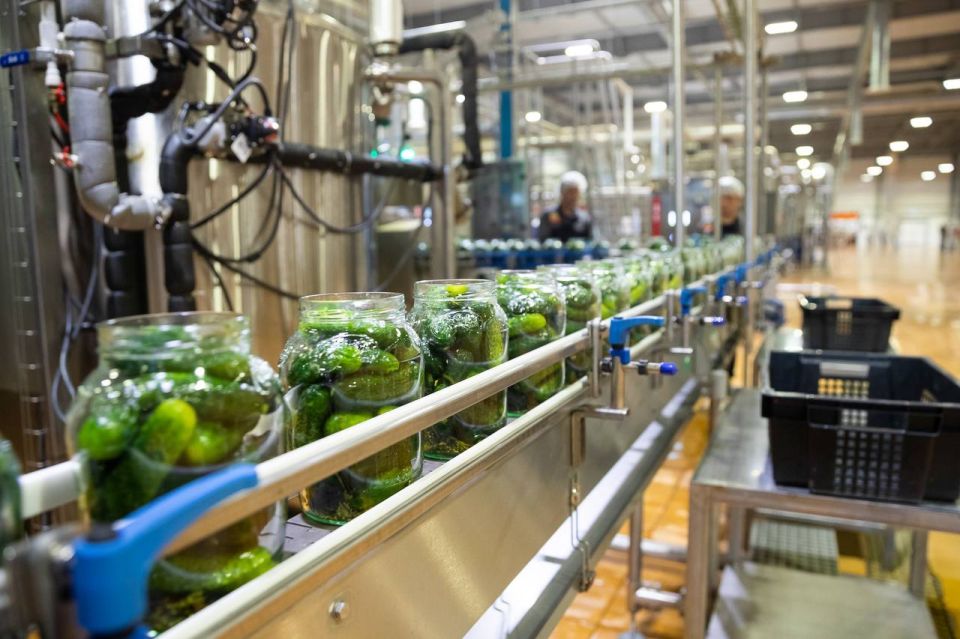 Волгоградская область стала лидером по производству консервированных овощей, детского пюре и кетчупа