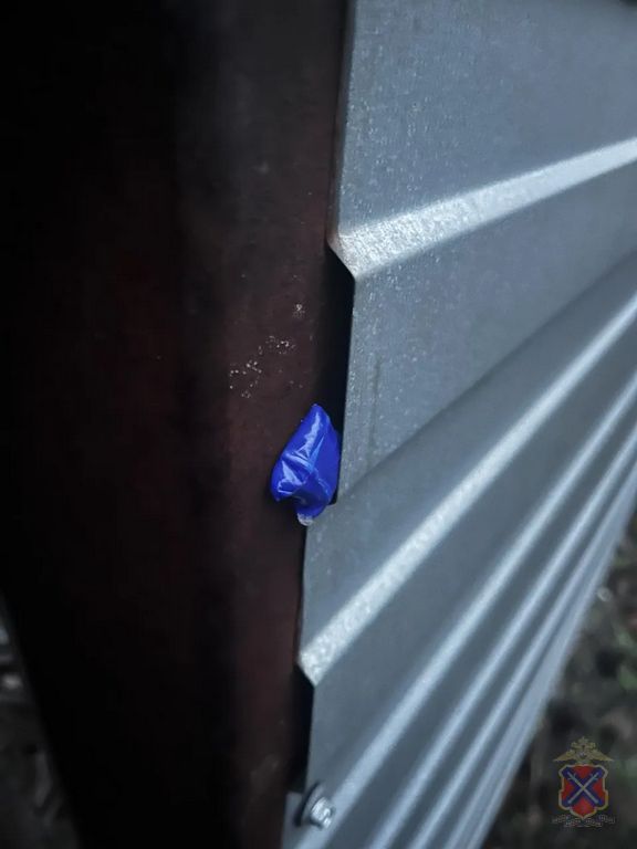 Полицейские задержали иностранного гражданина, подозреваемого в покушении на незаконный сбыт синтетических наркотиков Полицейские задержали иностранного гражданина, подозреваемого в покушении на незаконный сбыт синтетических наркотиков