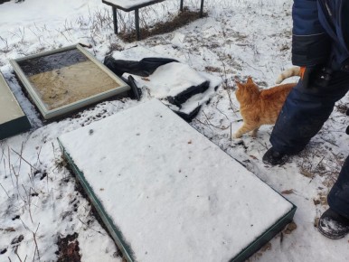 Неожиданные зимние приключения: когда дача решает устроить сюрприз владельцам