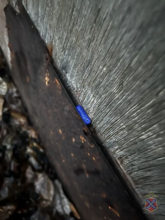 Полицейские задержали иностранного гражданина, подозреваемого в покушении на незаконный сбыт синтетических наркотиков Полицейские задержали иностранного гражданина, подозреваемого в покушении на незаконный сбыт синтетических наркотиков