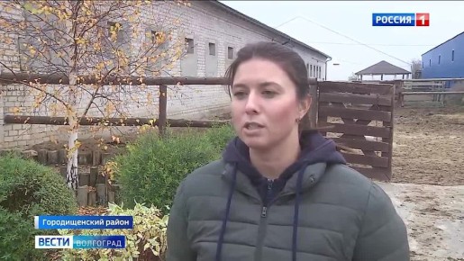 Год огненной лошади готовится встречать конно-спортивный клуб в Городищенском районе