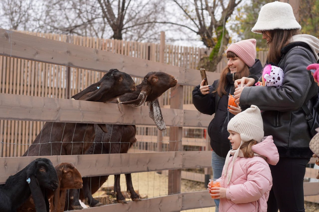 Деревня «Альпаково» открылась в ЦПКиО Волгограда Деревня «Альпаково» открылась в ЦПКиО Волгограда