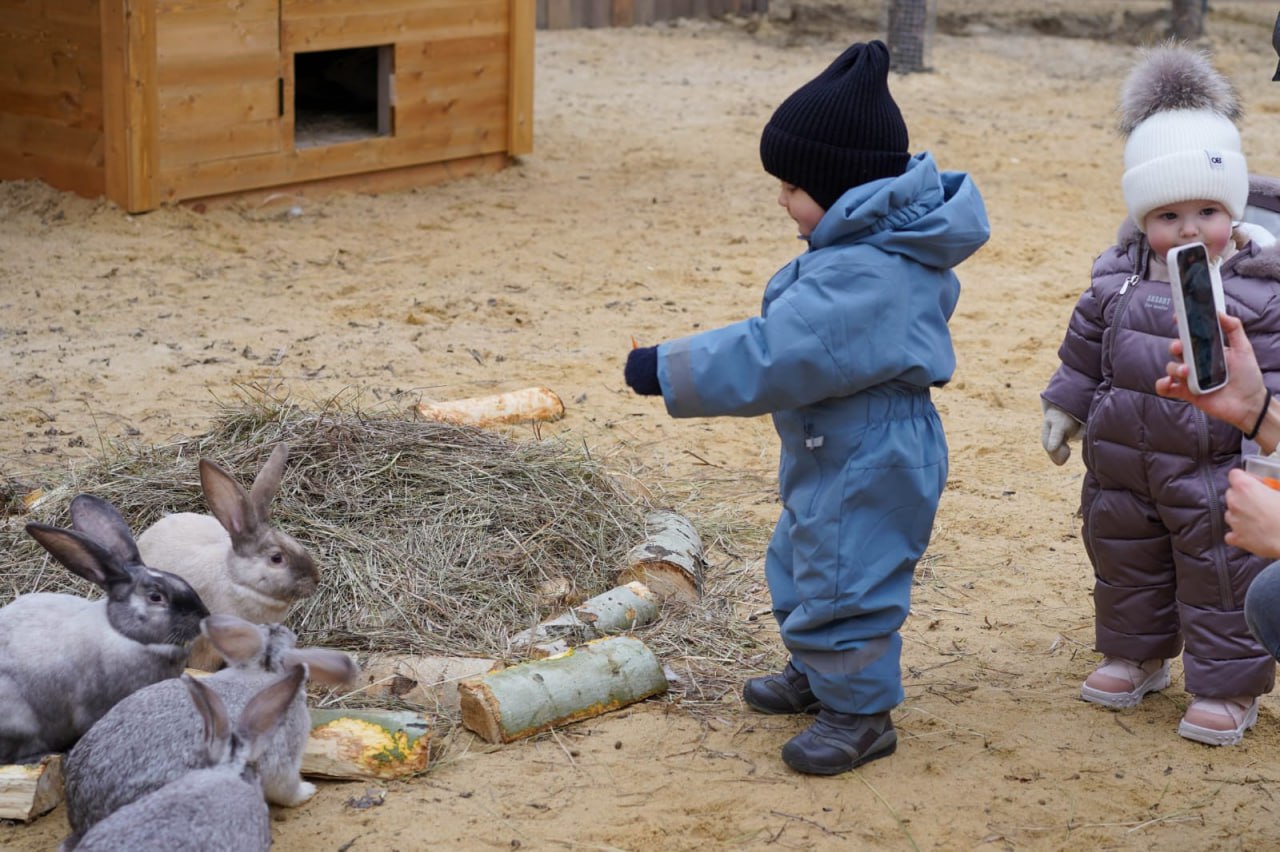 Деревня «Альпаково» открылась в ЦПКиО Волгограда Деревня «Альпаково» открылась в ЦПКиО Волгограда