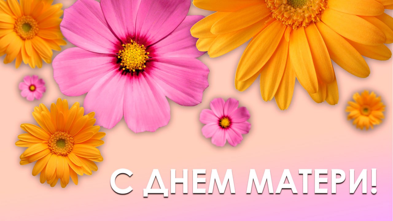 Поздравление председателя Волгоградской областной Думы Александра Блошкина с Днем матери в России