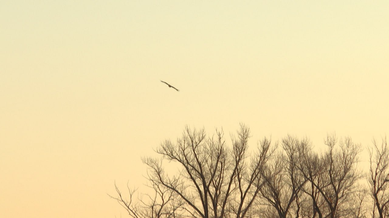 Декабрь начнется с тумана и гололеда в Волгоградской области