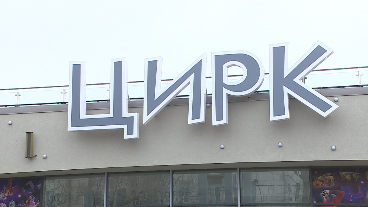 Обновленный волгоградский цирк готовится встречать первых посетителей 19 декабря Обновленный волгоградский цирк готовится встречать первых посетителей 19 декабря