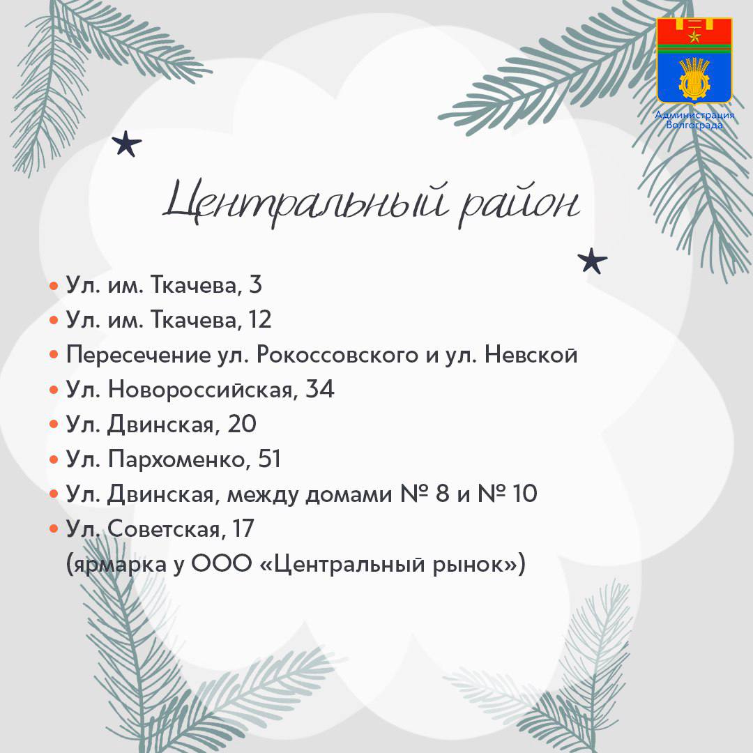 Площадки для продажи хвойных деревьев в преддверии Нового Года откроются в каждом районе Волгограда Площадки для продажи хвойных деревьев в преддверии Нового Года откроются в каждом районе Волгограда