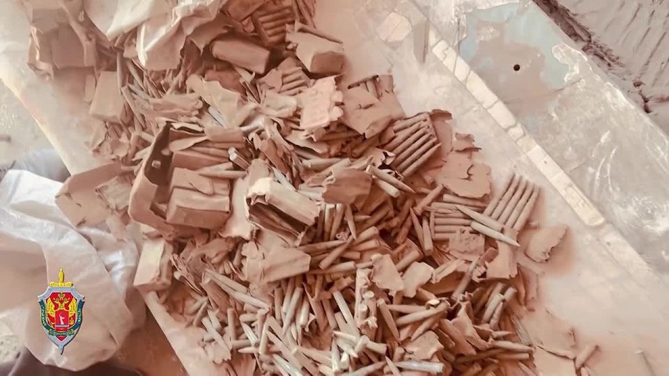 В Волгограде накрыли незаконный склад боеприпасов