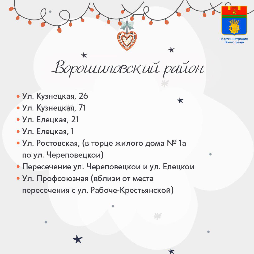 Площадки для продажи хвойных деревьев в преддверии Нового Года откроются в каждом районе Волгограда Площадки для продажи хвойных деревьев в преддверии Нового Года откроются в каждом районе Волгограда