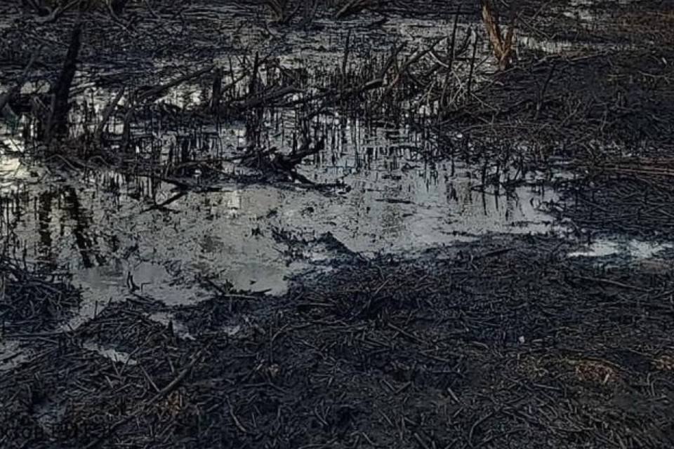 Суд наказал нефтяников из-за разлива нефти под Волгоградом