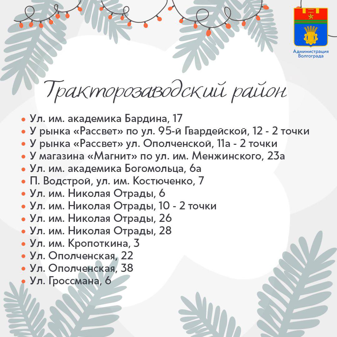 Площадки для продажи хвойных деревьев в преддверии Нового Года откроются в каждом районе Волгограда