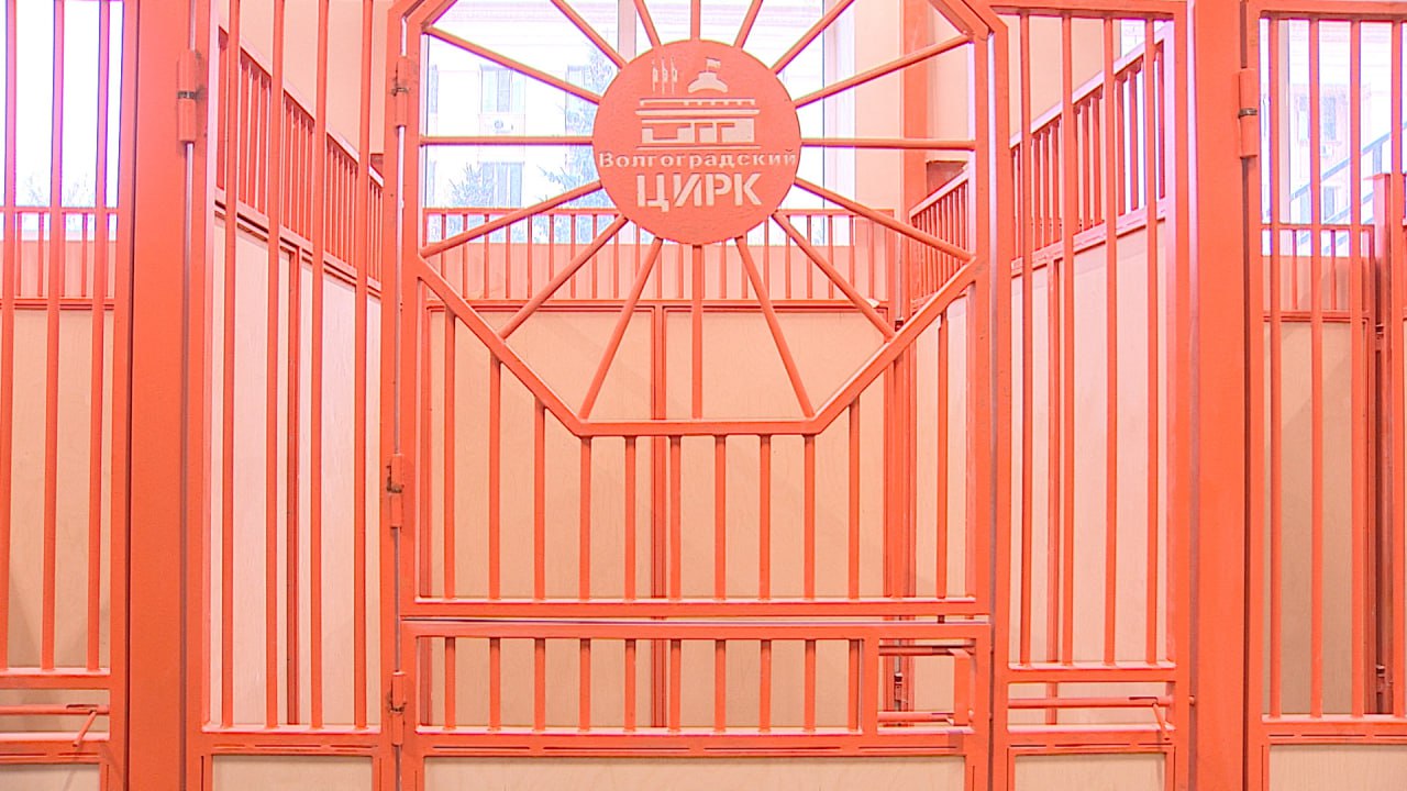 Обновленный волгоградский цирк готовится встречать первых посетителей 19 декабря Обновленный волгоградский цирк готовится встречать первых посетителей 19 декабря